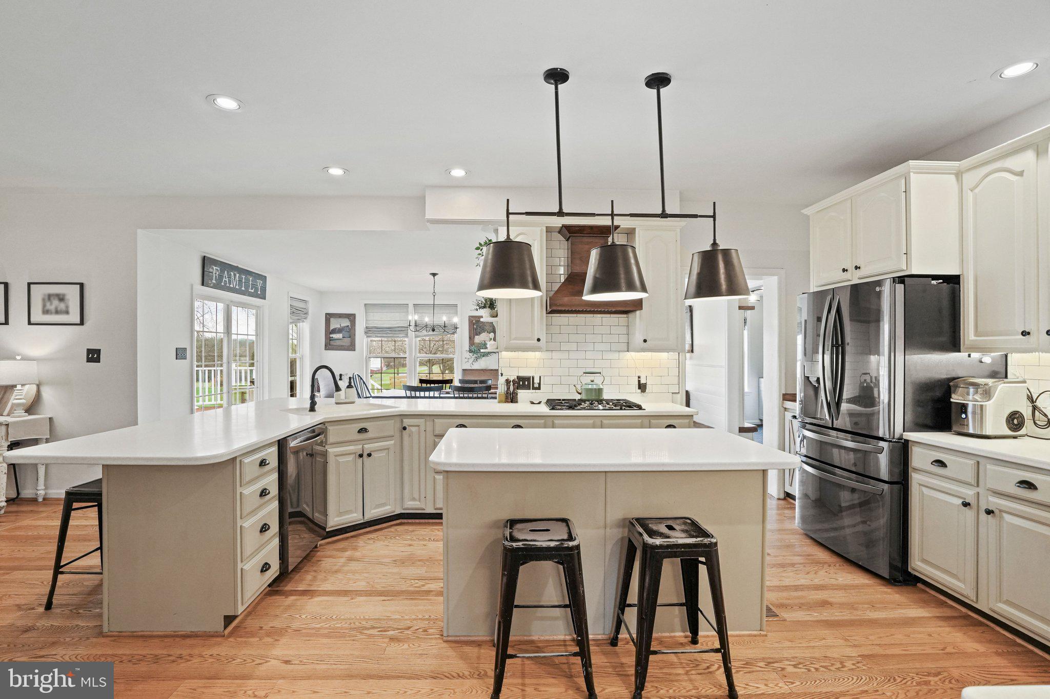 20409 Peach Tree Road Dickerson, MD 20842 - Photo 16 of 66 Updated Kitchen