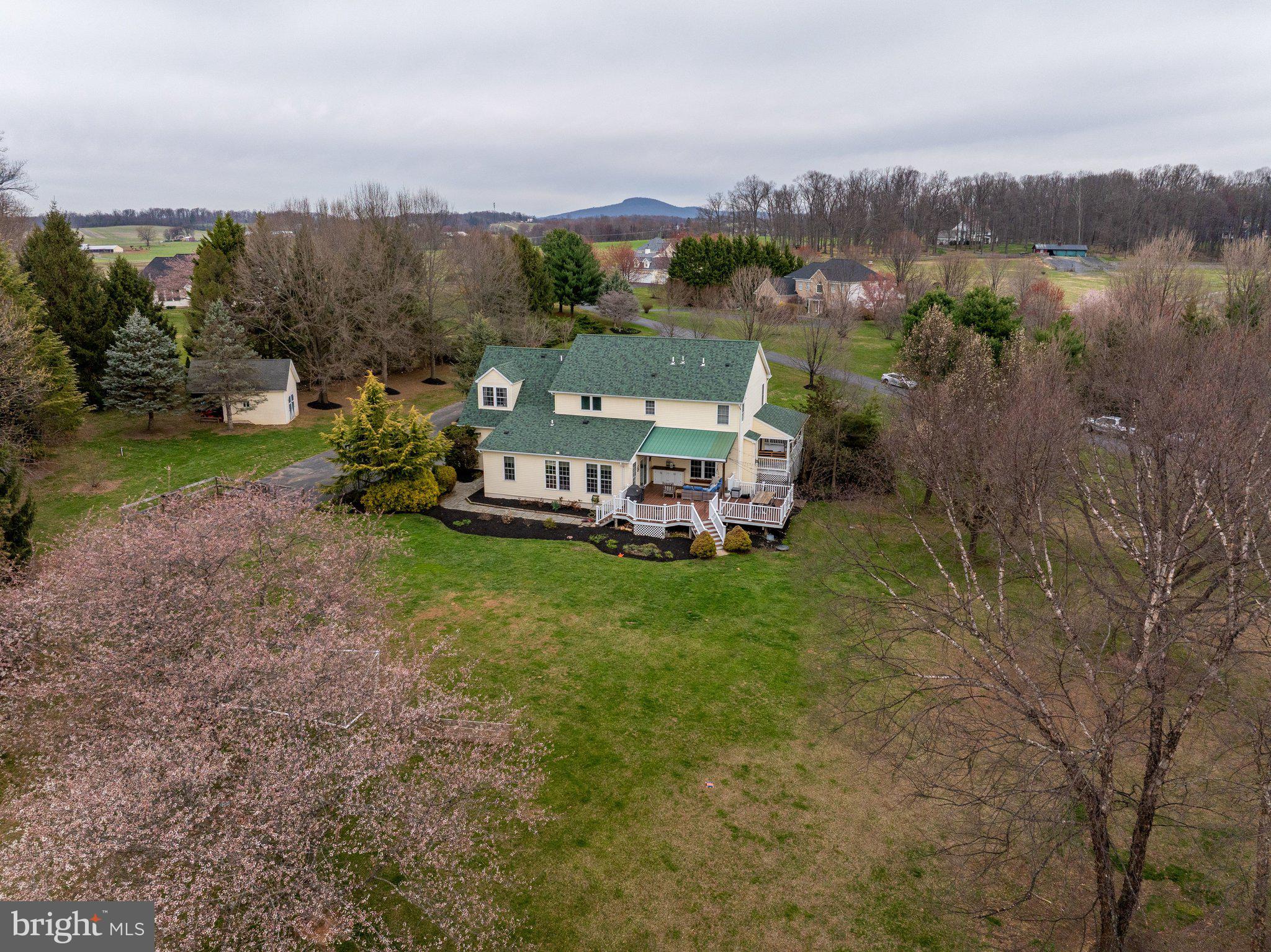 20409 Peach Tree Road Dickerson, MD 20842 - Photo 49 of 66 Private backyard
