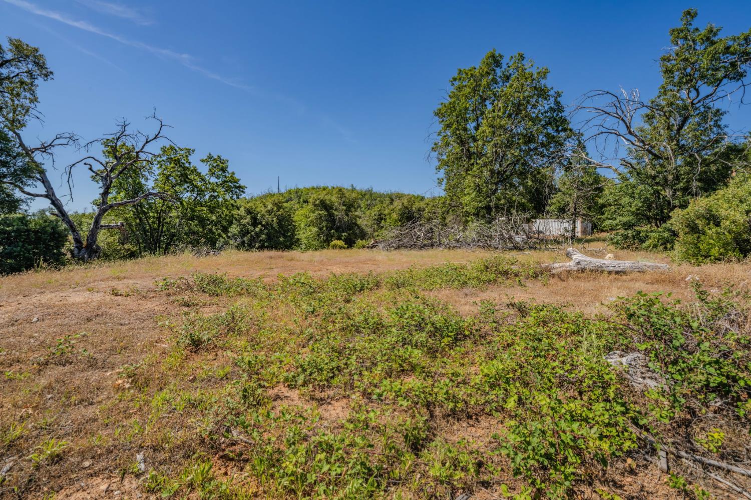7256 Nikki Mountain Ranch Mountain Ranch, CA 95246 - Photo 22 of 27