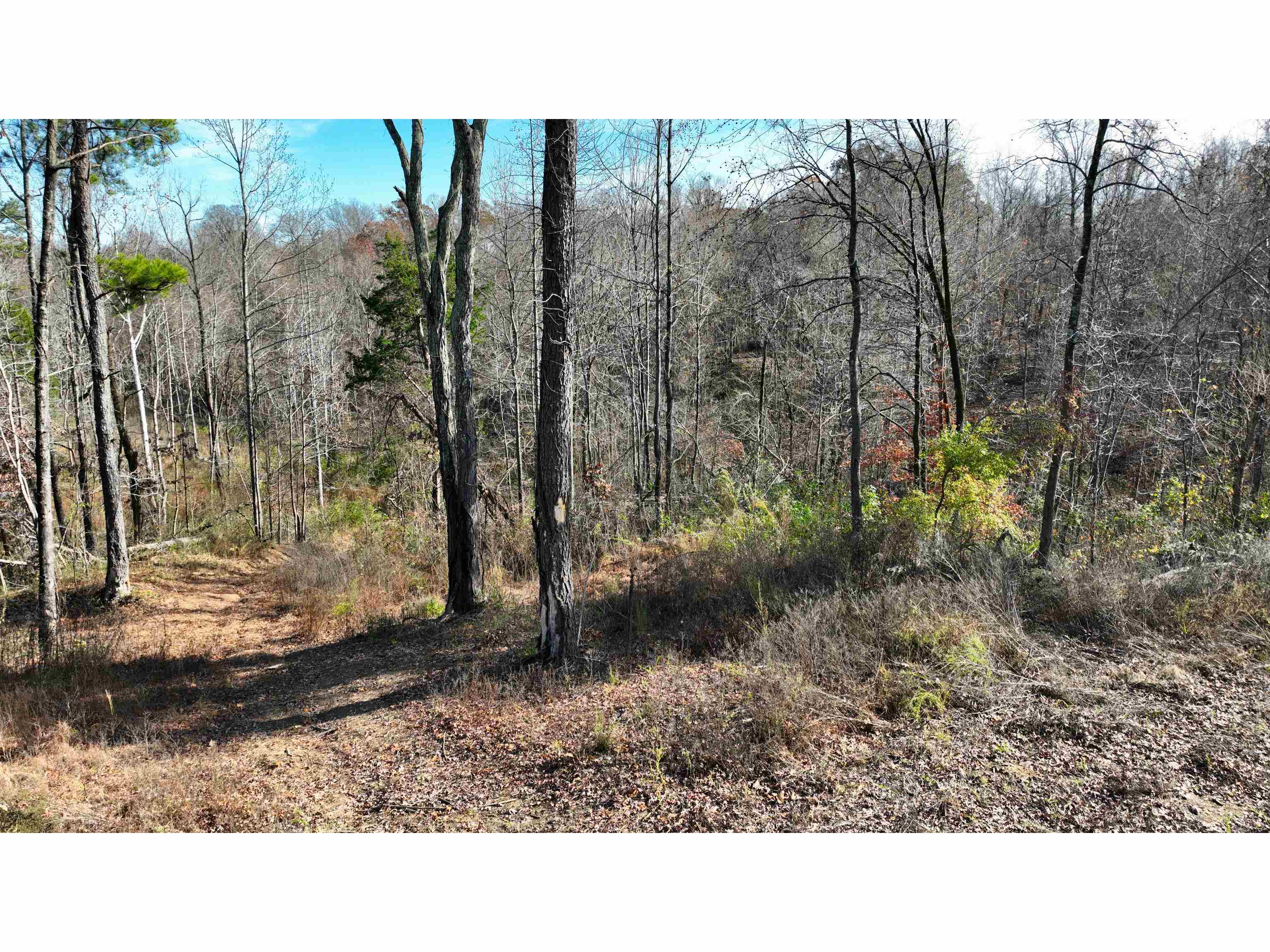 Munford Giltedge Road Burlison, TN 38015 - Photo 9 of 16