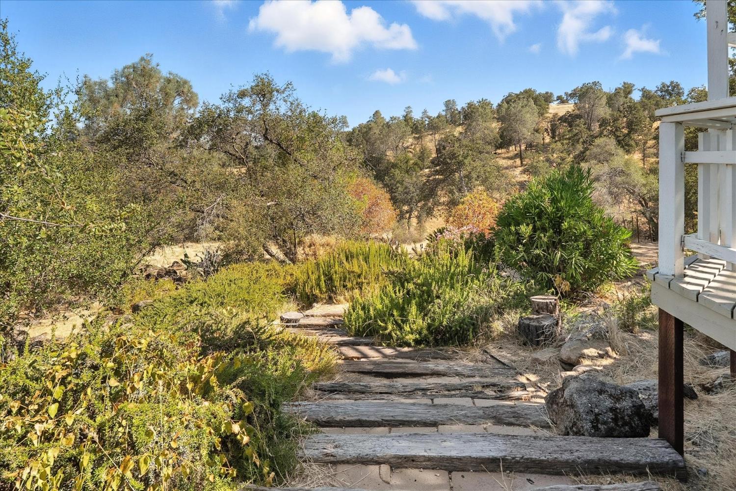 42480 Ranger Cir Way Coarsegold, CA 93614 - Photo 34 of 40 a view of a yard with plants and a trees