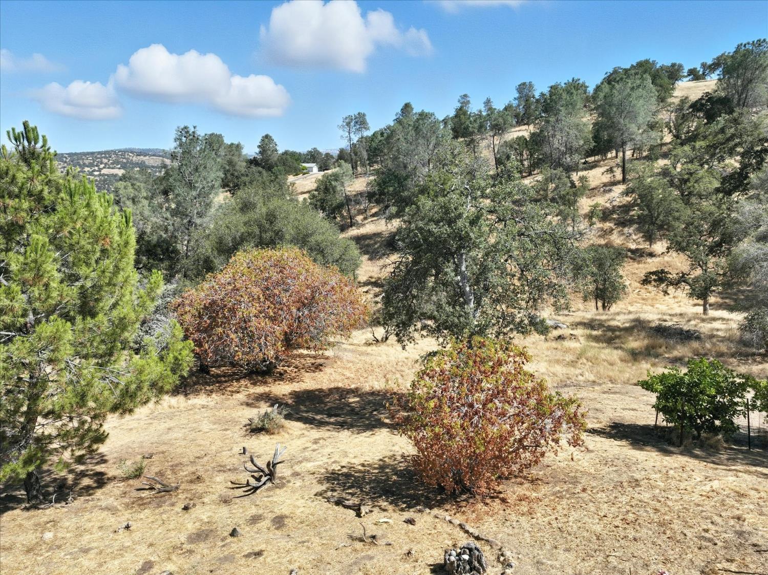 42480 Ranger Cir Way Coarsegold, CA 93614 - Photo 37 of 40