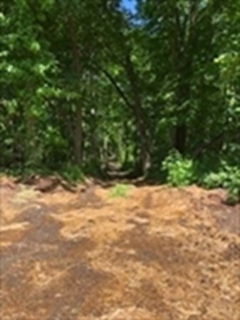 0 Auburn Road Millbury, MA 01527 - Photo 3 of 7