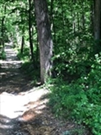 0 Auburn Road Millbury, MA 01527 - Photo 4 of 7