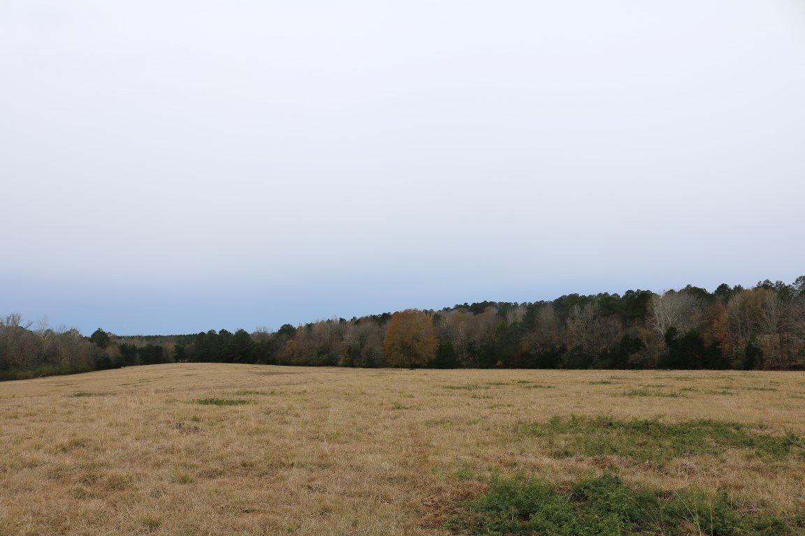 0 Davis Crossing Road Canton, MS 39046 - Photo 19 of 41 Photo 20