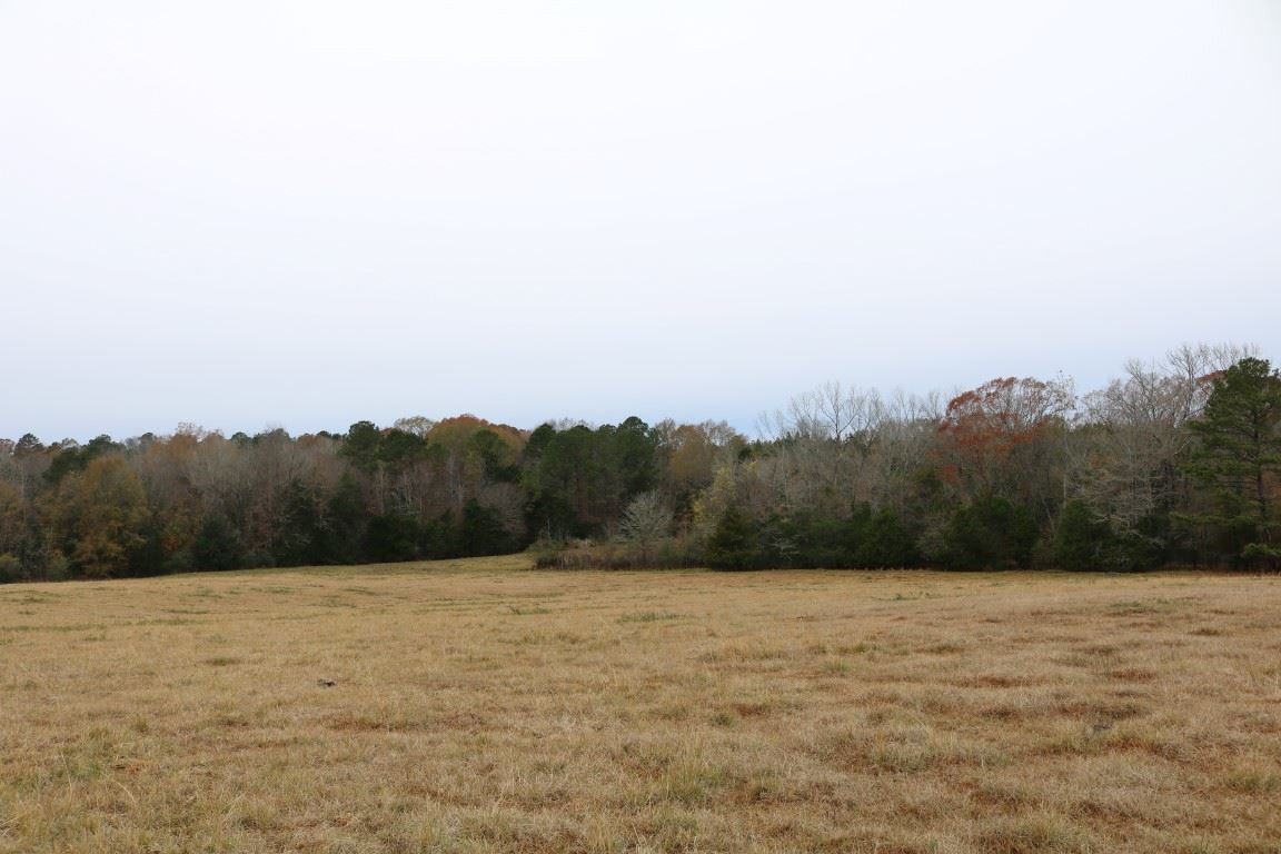 0 Davis Crossing Road Canton, MS 39046 - Photo 20 of 41 Photo 21