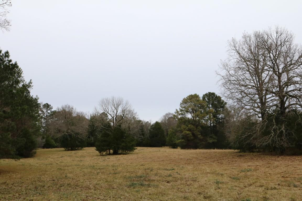 0 Davis Crossing Road Canton, MS 39046 - Photo 23 of 41 Photo 24