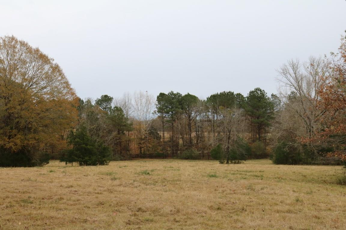 0 Davis Crossing Road Canton, MS 39046 - Photo 25 of 41 Photo 26