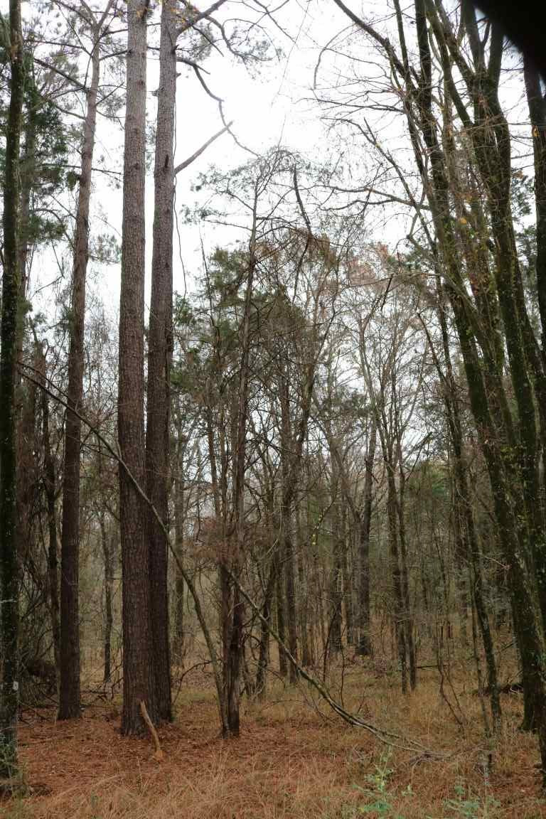 0 Davis Crossing Road Canton, MS 39046 - Photo 26 of 41 Photo 27