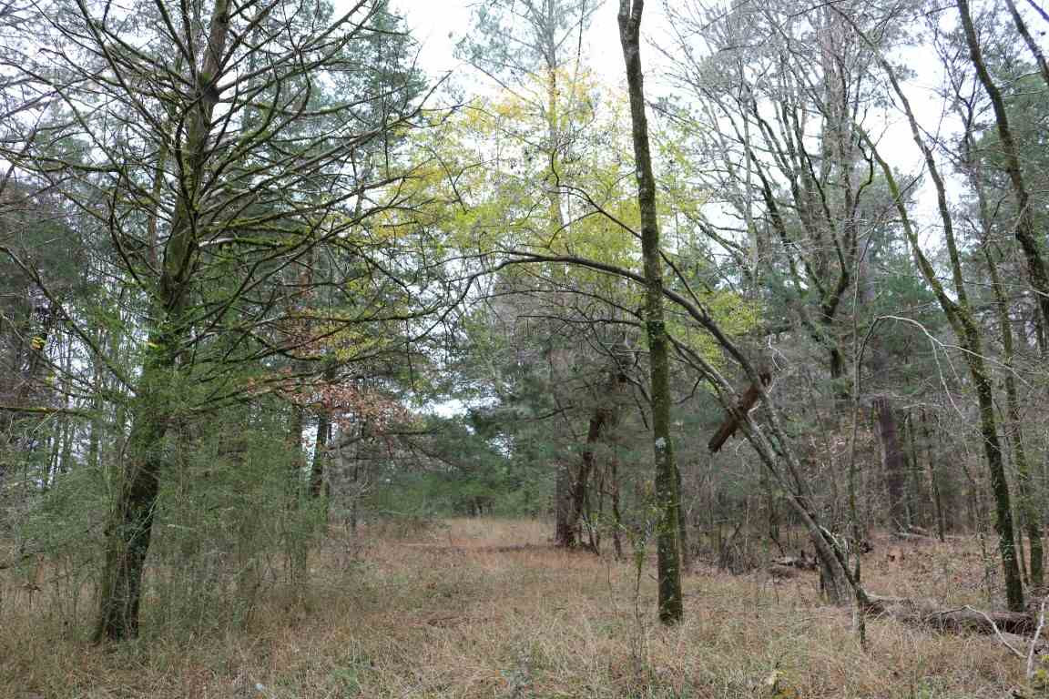 0 Davis Crossing Road Canton, MS 39046 - Photo 28 of 41 Photo 29