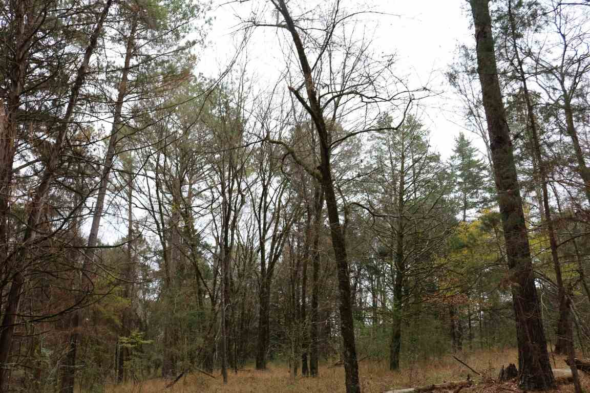 0 Davis Crossing Road Canton, MS 39046 - Photo 30 of 41 Photo 31