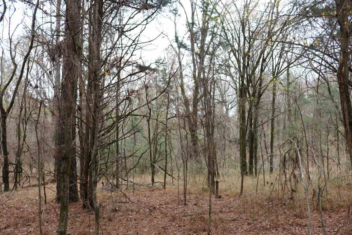 0 Davis Crossing Road Canton, MS 39046 - Photo 31 of 41 Photo 32