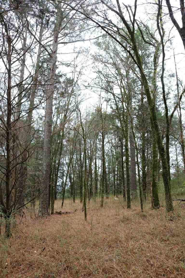 0 Davis Crossing Road Canton, MS 39046 - Photo 34 of 41 Photo 35