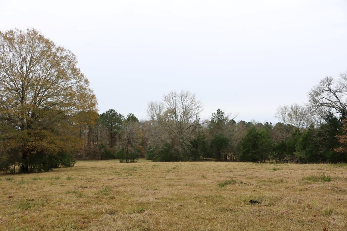 0 Davis Crossing Road Canton, MS 39046 - Photo 36 of 41 Photo 37