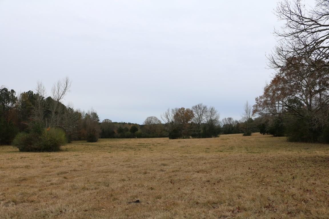 0 Davis Crossing Road Canton, MS 39046 - Photo 38 of 41 Photo 39