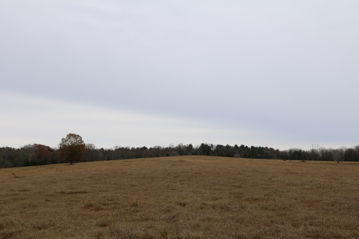 0 Davis Crossing Road Canton, MS 39046 - Photo 39 of 41 Photo 40