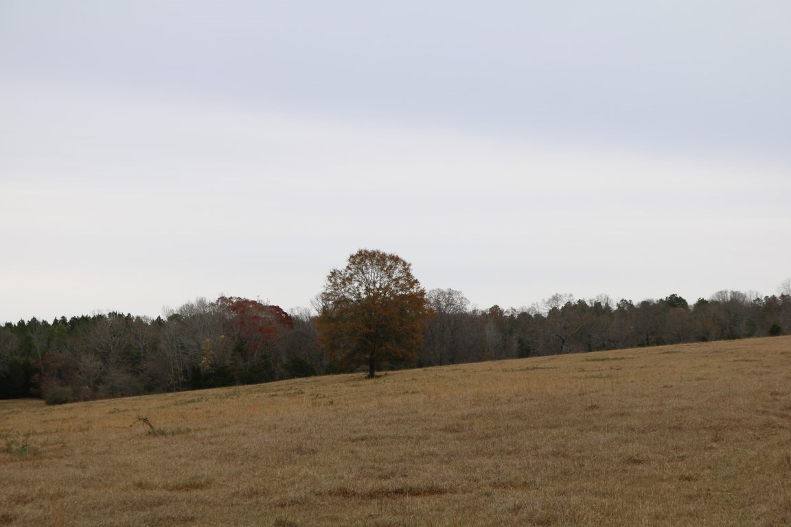 0 Davis Crossing Road Canton, MS 39046 - Photo 40 of 41 Photo 41