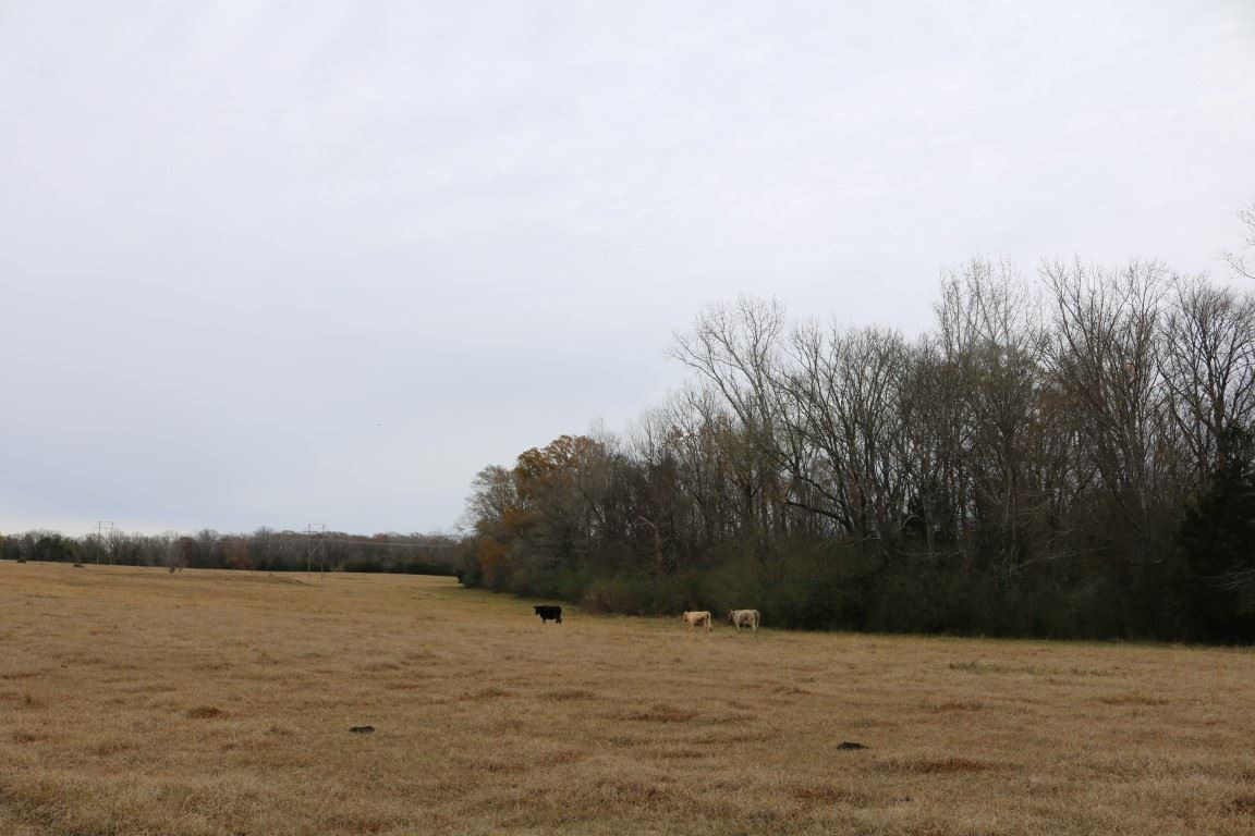 0 Davis Crossing Road Canton, MS 39046 - Photo 41 of 41 Photo 42
