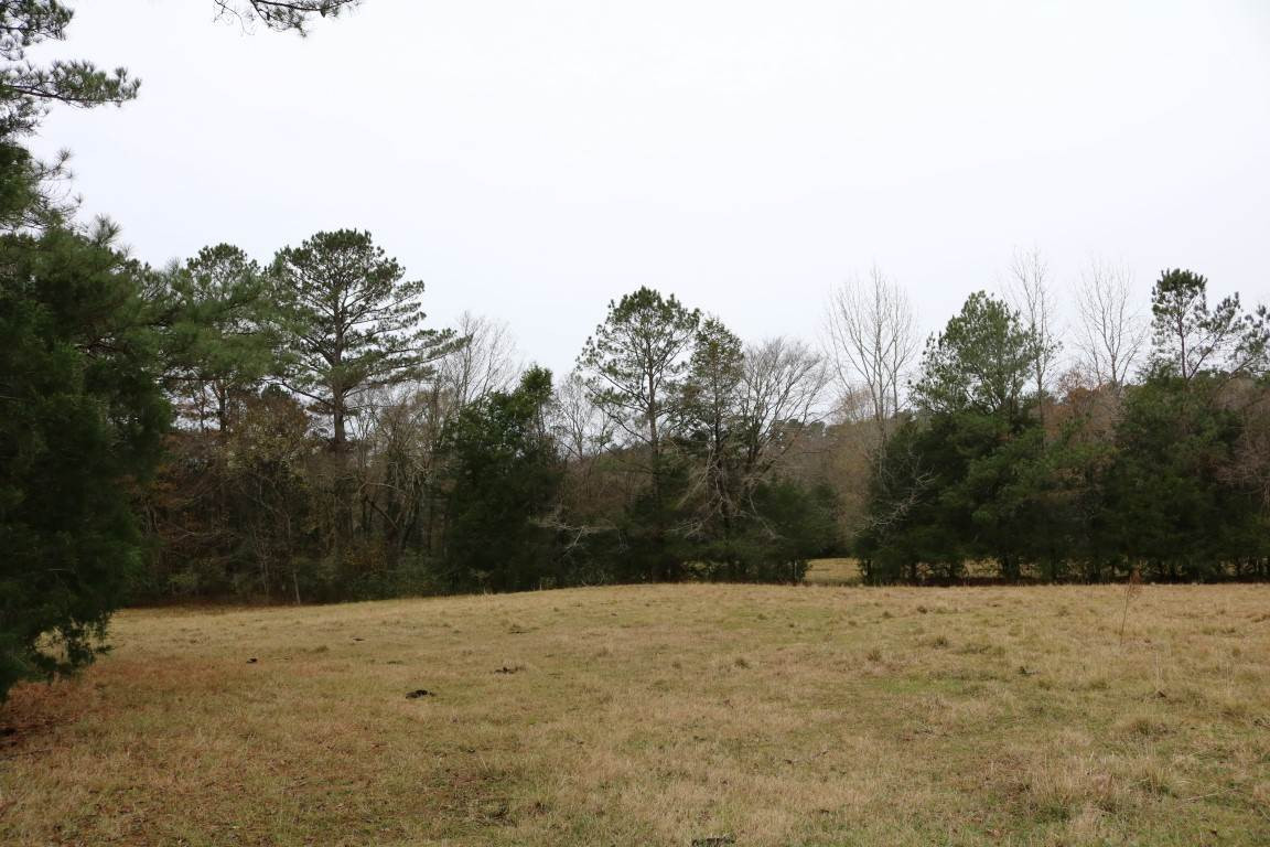 0 Davis Crossing Road Canton, MS 39046 - Photo 6 of 41 Photo 7