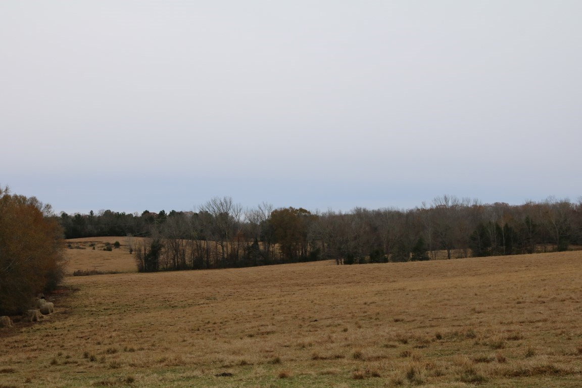 0 Davis Crossing Road Canton, MS 39046 - Photo 10 of 41 Photo 11