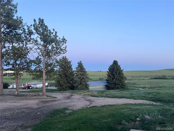 a view of a park with tree s