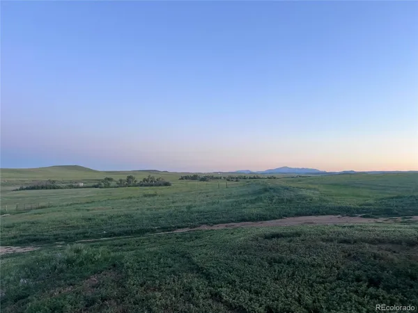 a view of a field with a grassy field