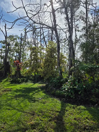 $348,000 | 16-2463 Ainaloa Drive, Pahoa, HI 96778