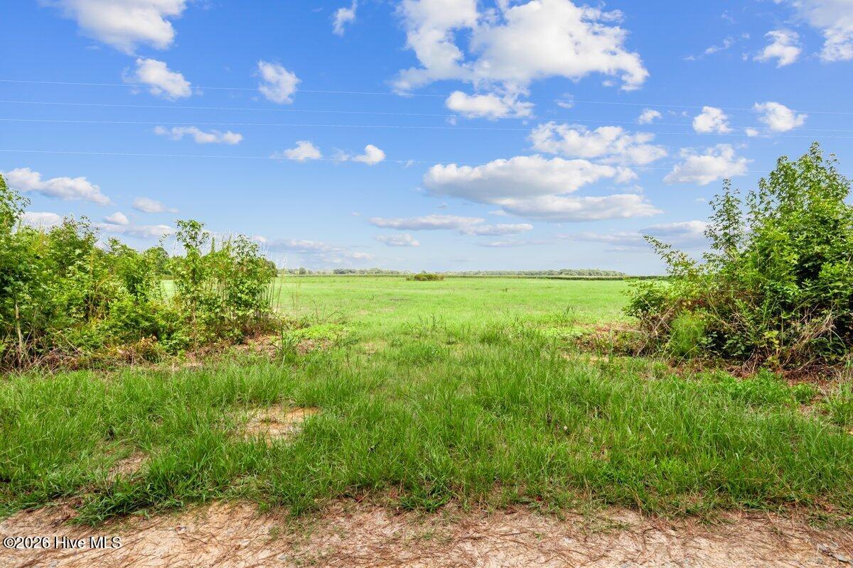Lot 1 Waller Road Mount Olive, NC 28365 - Photo 13 of 15 Gallery Image 13
