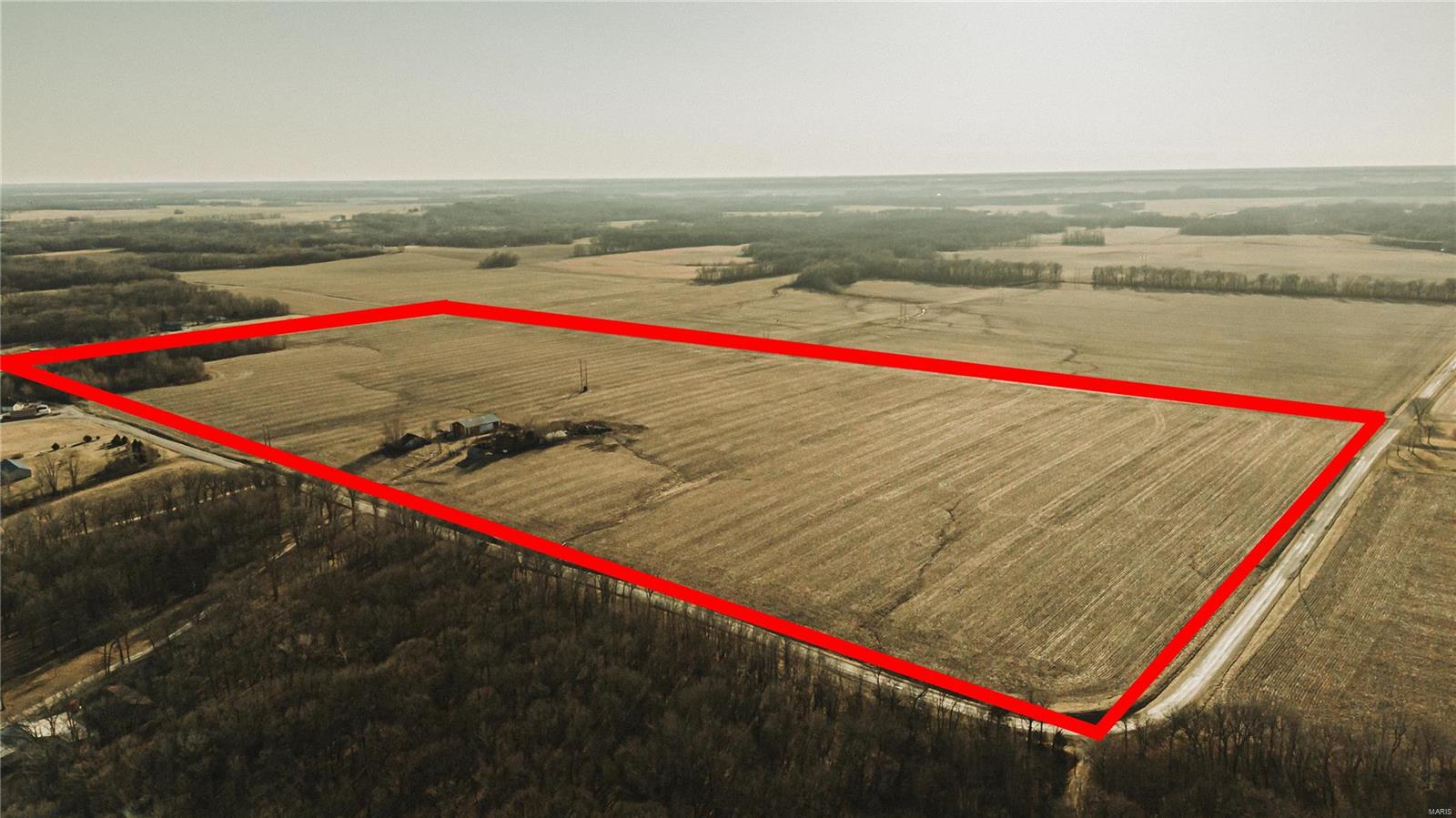 798 Longbridge Trail Walshville, IL 62091 - Photo 1 of 6