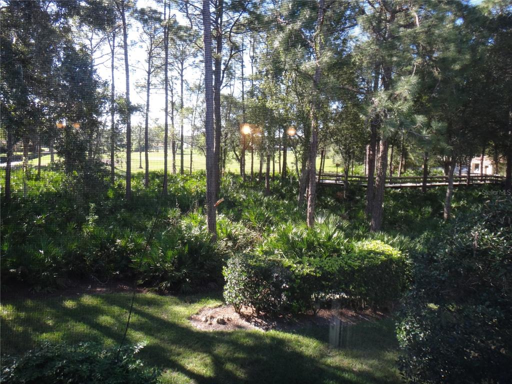 4493 Longmeadow, Unit 76 Sarasota, FL 34235 - Photo 24 of 24 a view of a yard with large trees