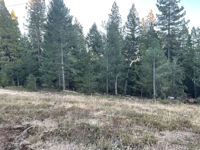 a view of outdoor space with green space