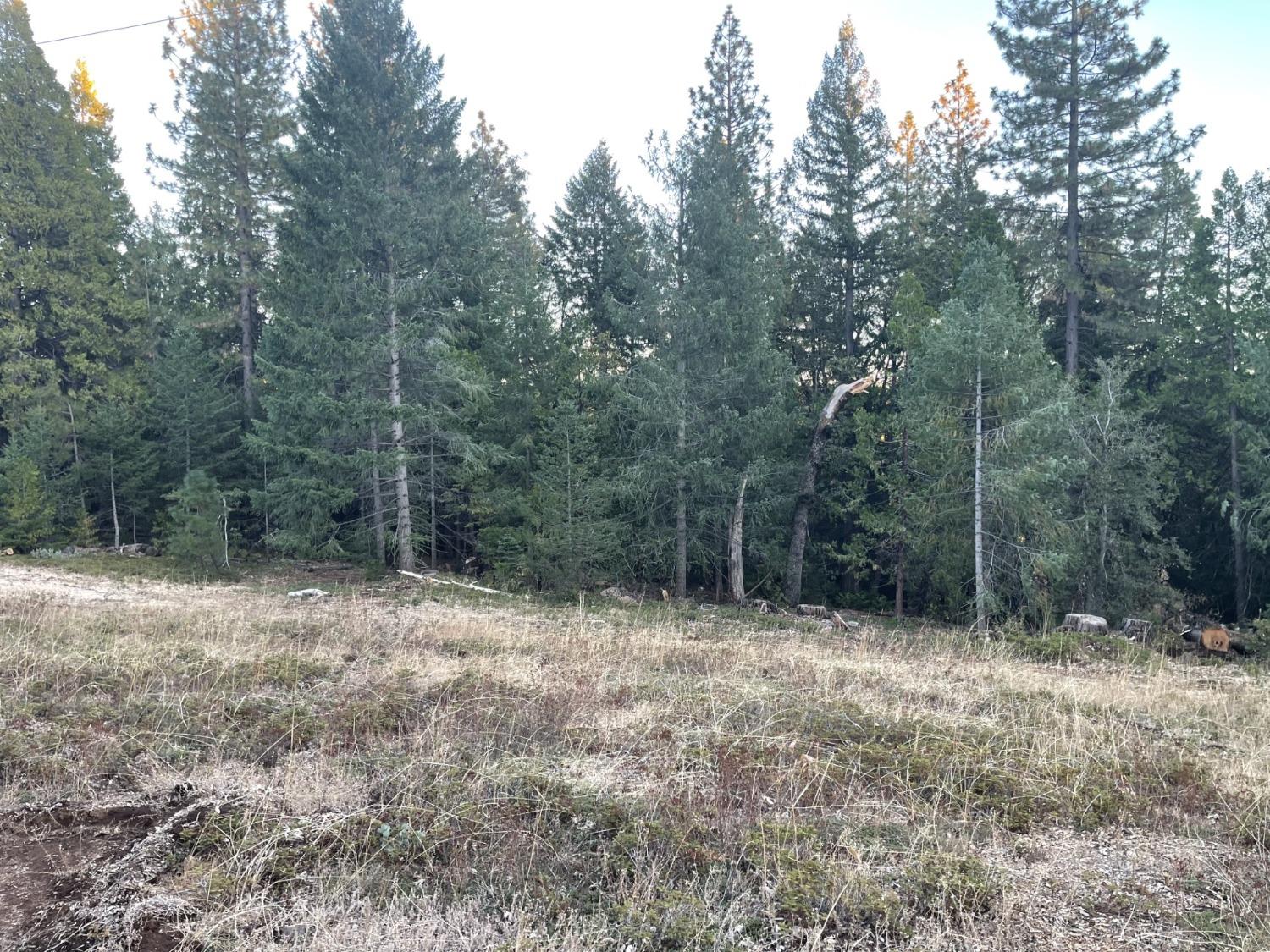 a view of outdoor space with green space