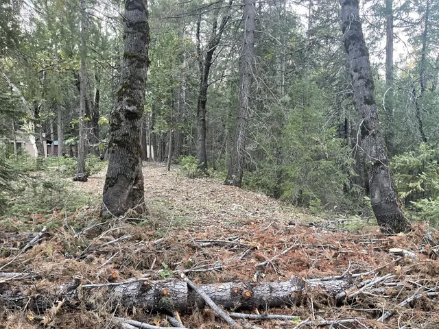 a backyard of a house with lots of green space