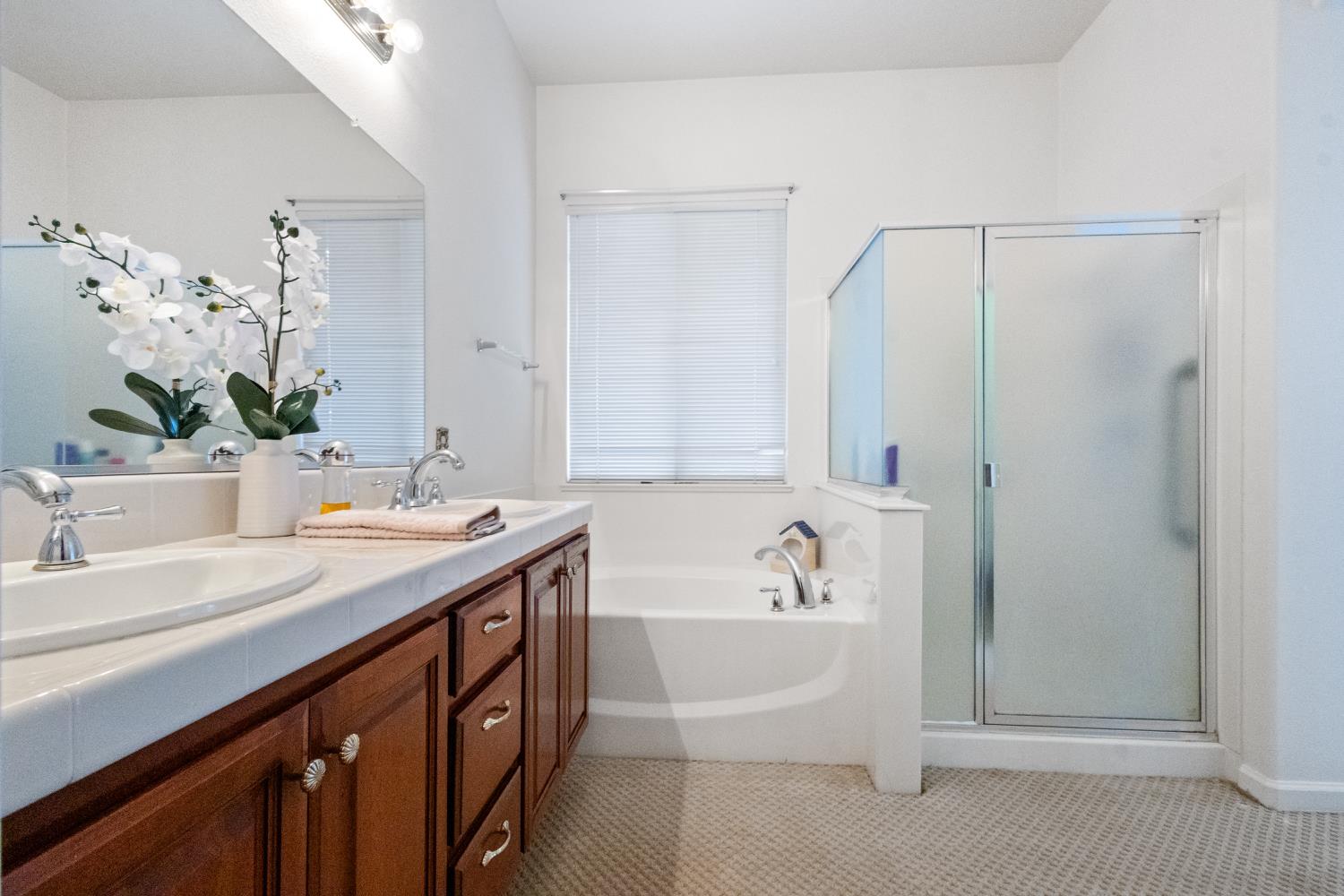 1413 Villette Court Modesto, CA 95356 - Photo 75 of 82 a bathroom with a tub a sink and mirror