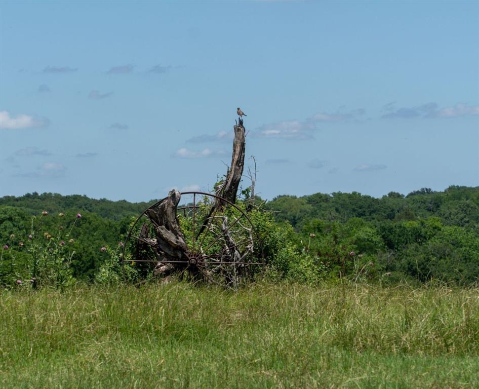 248 Shaffer Road Denison, TX 75021 - Photo 25 of 40 a backyard of a house with lots of green space and mountain view