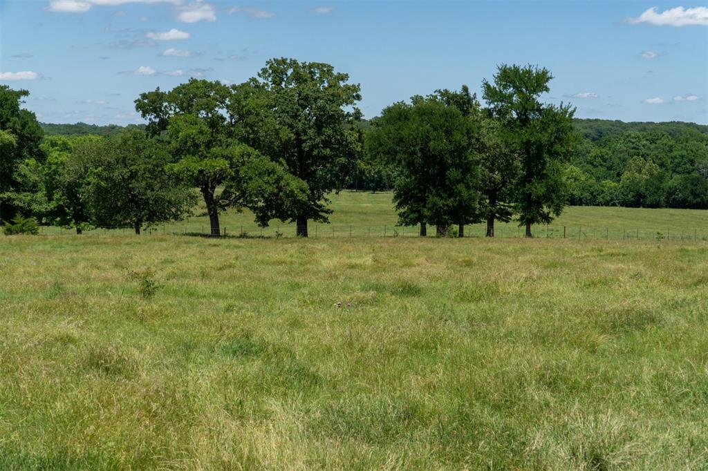 248 Shaffer Road Denison, TX 75021 - Photo 26 of 40 a view of three trees in a field