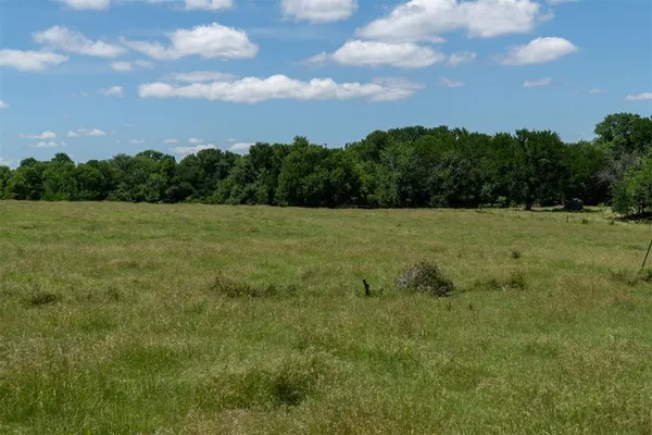 a view of grassy field with trees