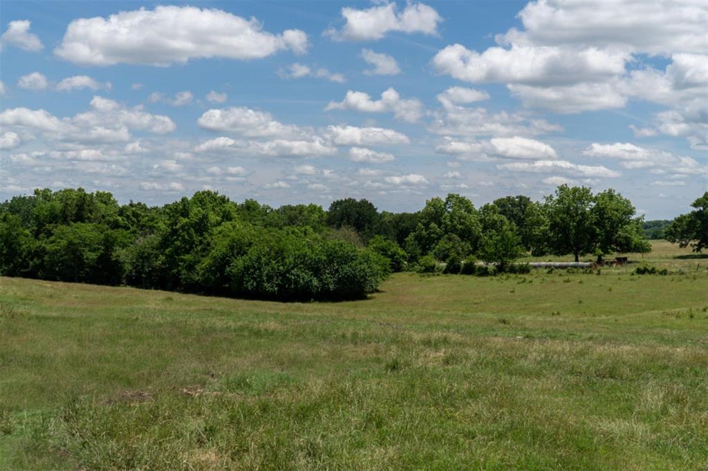 248 Shaffer Road Denison, TX 75021 - Photo 28 of 40 a view of grassy field with trees