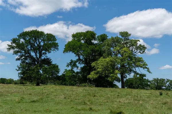 a view of a big yard with lots of green space