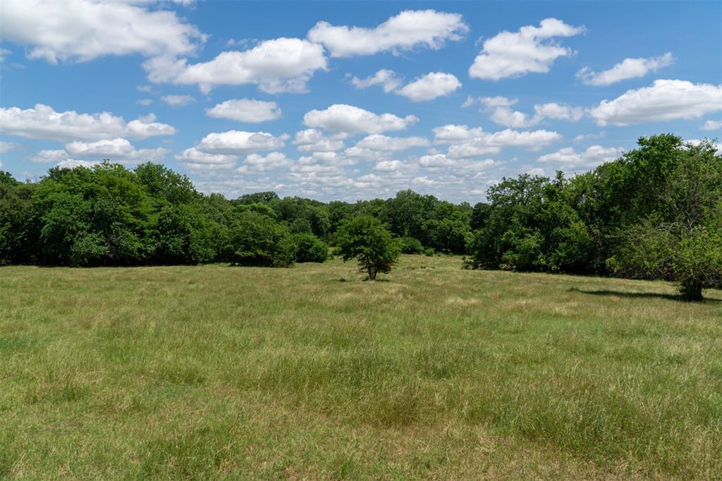 248 Shaffer Road Denison, TX 75021 - Photo 31 of 40 a view of a big yard with lots of green space