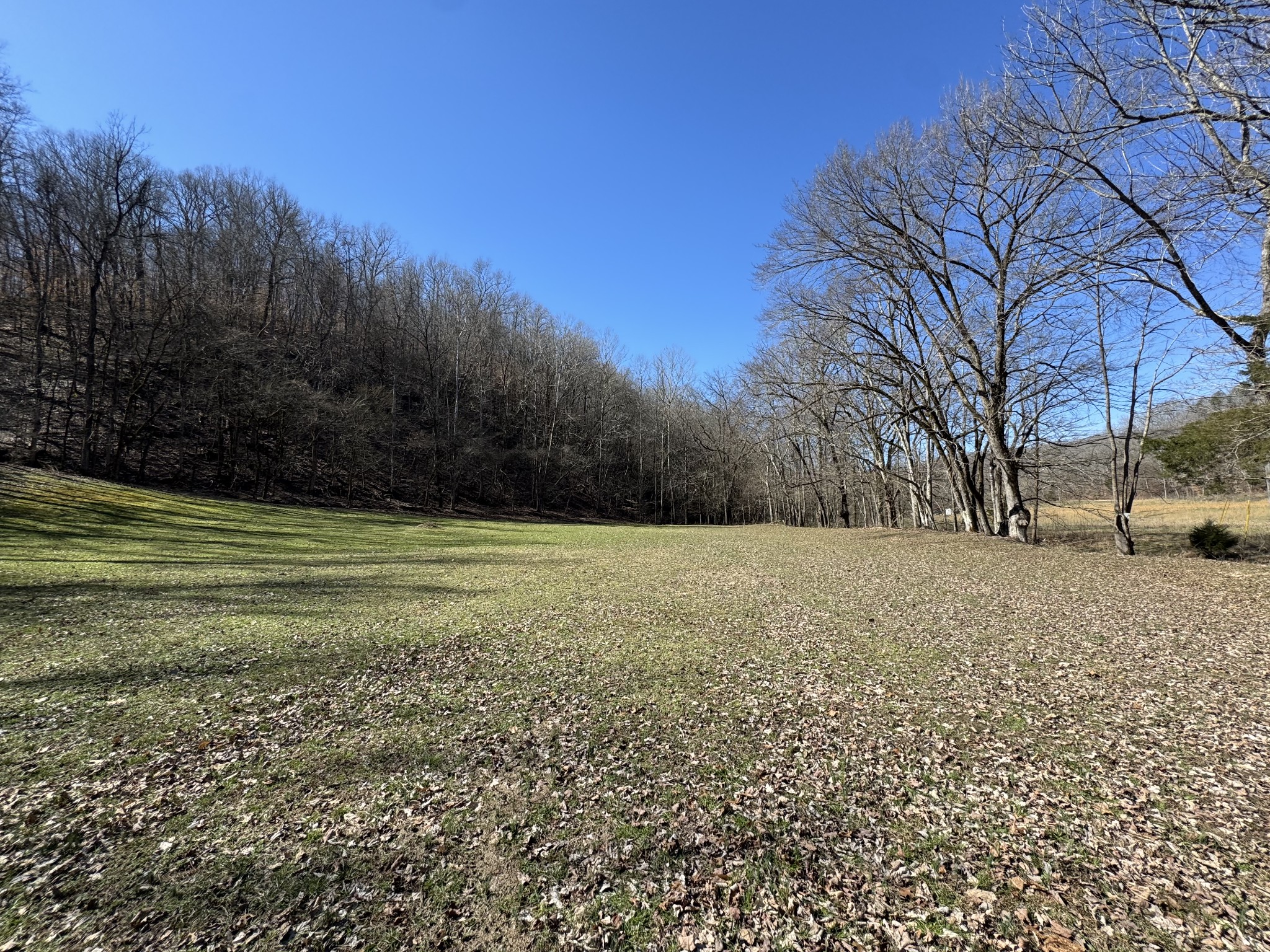 0 Waterfall Creek Road Collinwood, TN 38450 - Photo 2 of 48 a view of a yard with a house