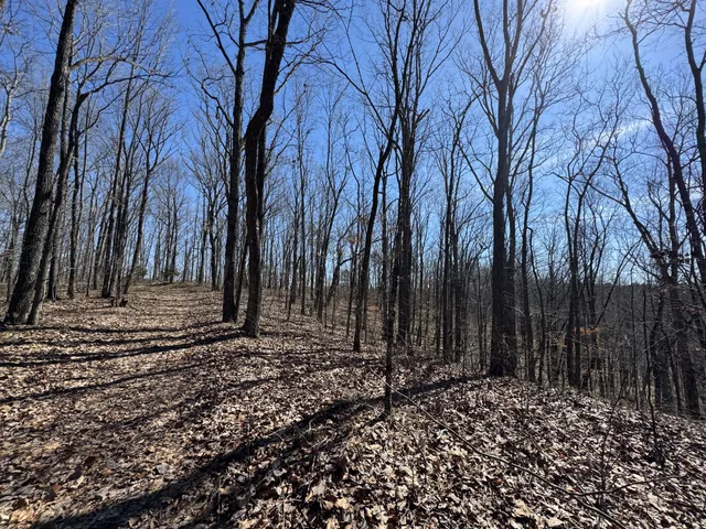 a view of a backyard of the house
