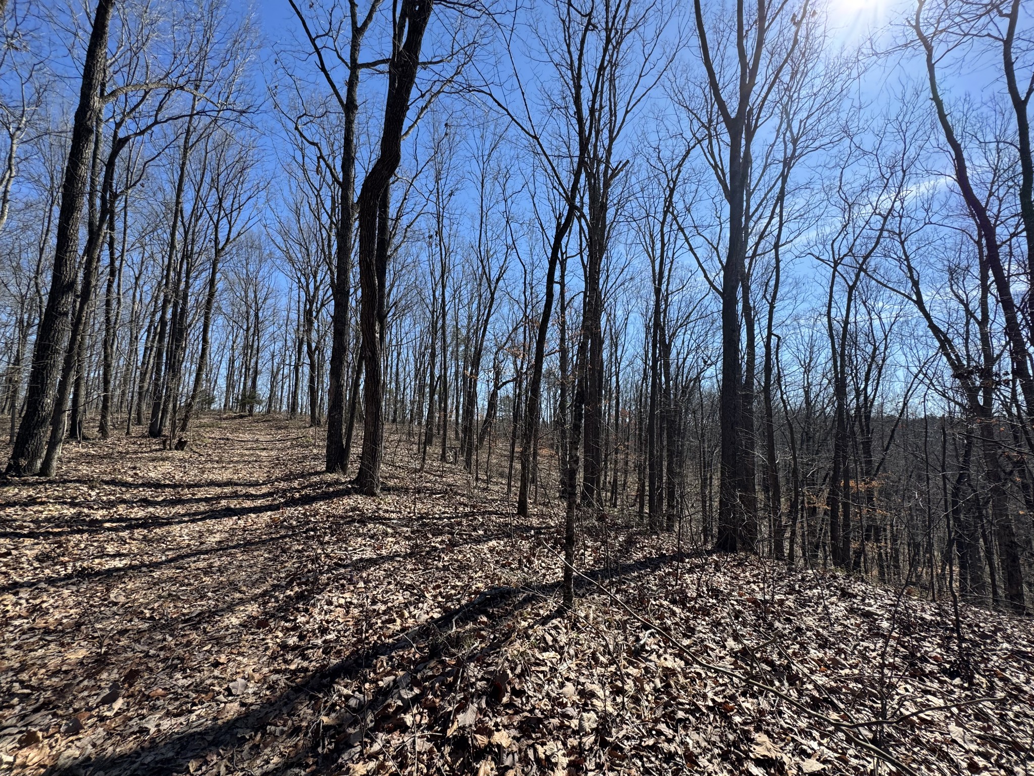 0 Waterfall Creek Road Collinwood, TN 38450 - Photo 24 of 48 a view of a backyard of the house