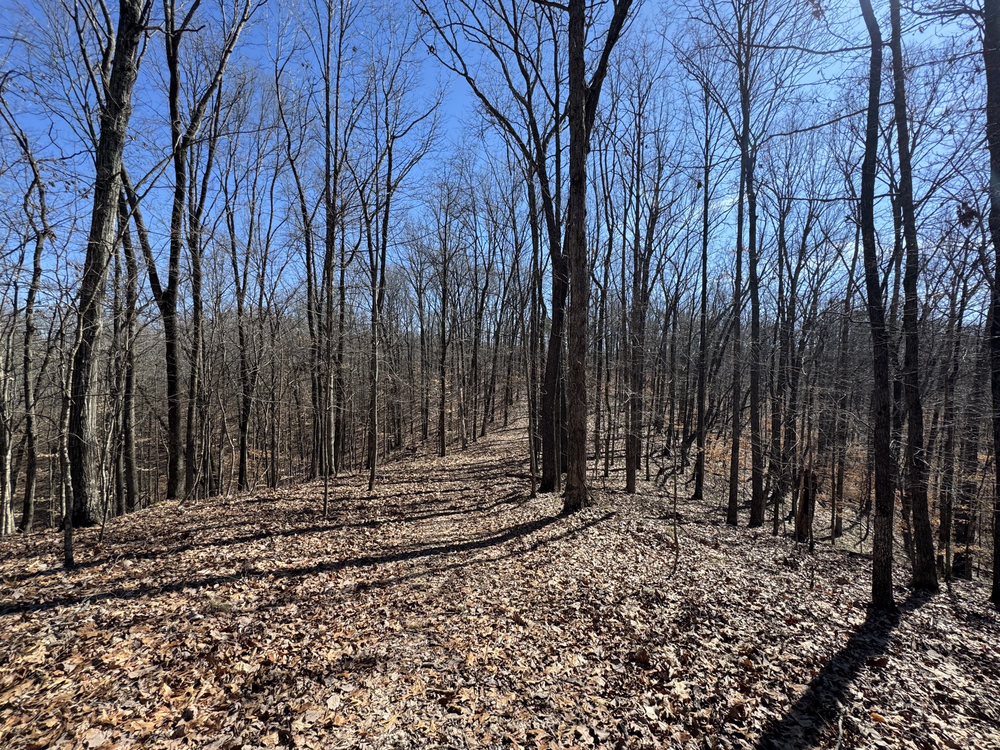 0 Waterfall Creek Road Collinwood, TN 38450 - Photo 25 of 48 a view of house with trees in the background