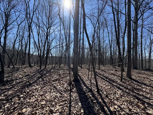 a view of house with trees