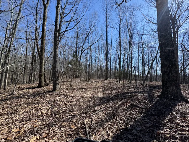 a view of a backyard of the house