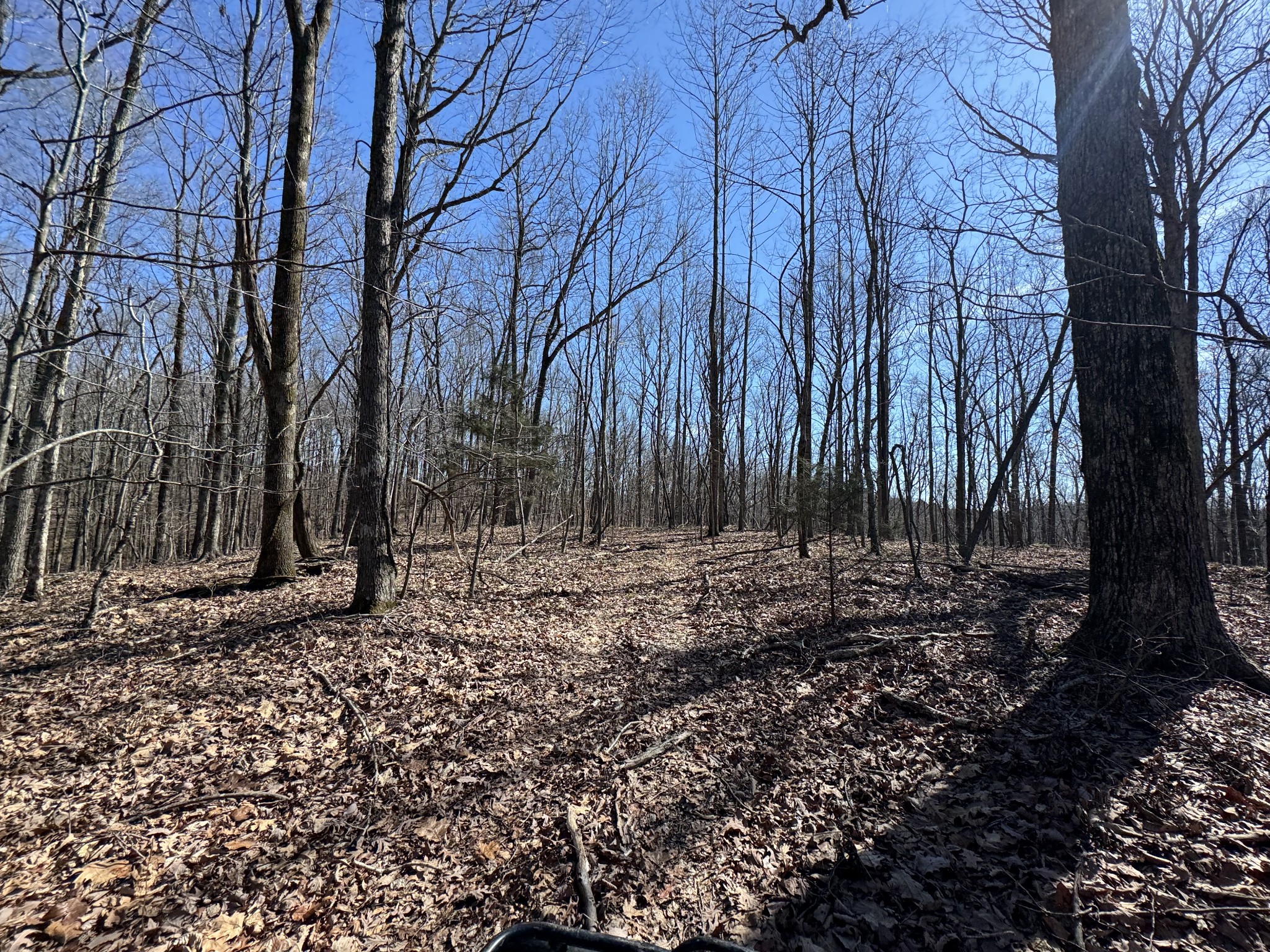 0 Waterfall Creek Road Collinwood, TN 38450 - Photo 28 of 48 a view of a backyard with large trees