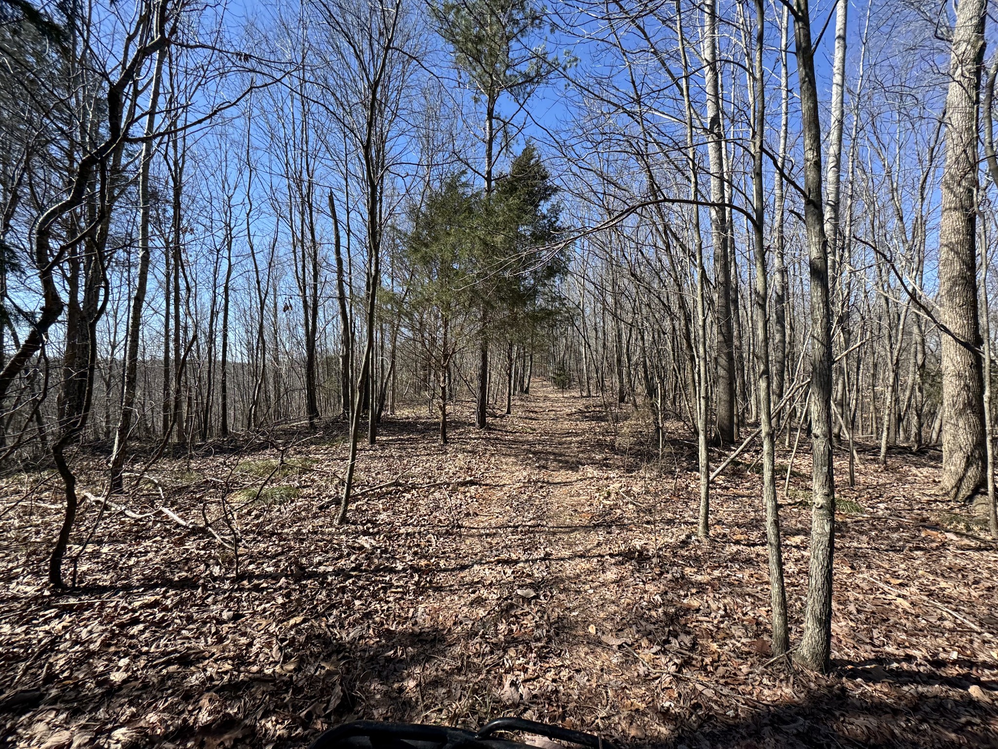 0 Waterfall Creek Road Collinwood, TN 38450 - Photo 33 of 48 a backyard of a house with lots of green space