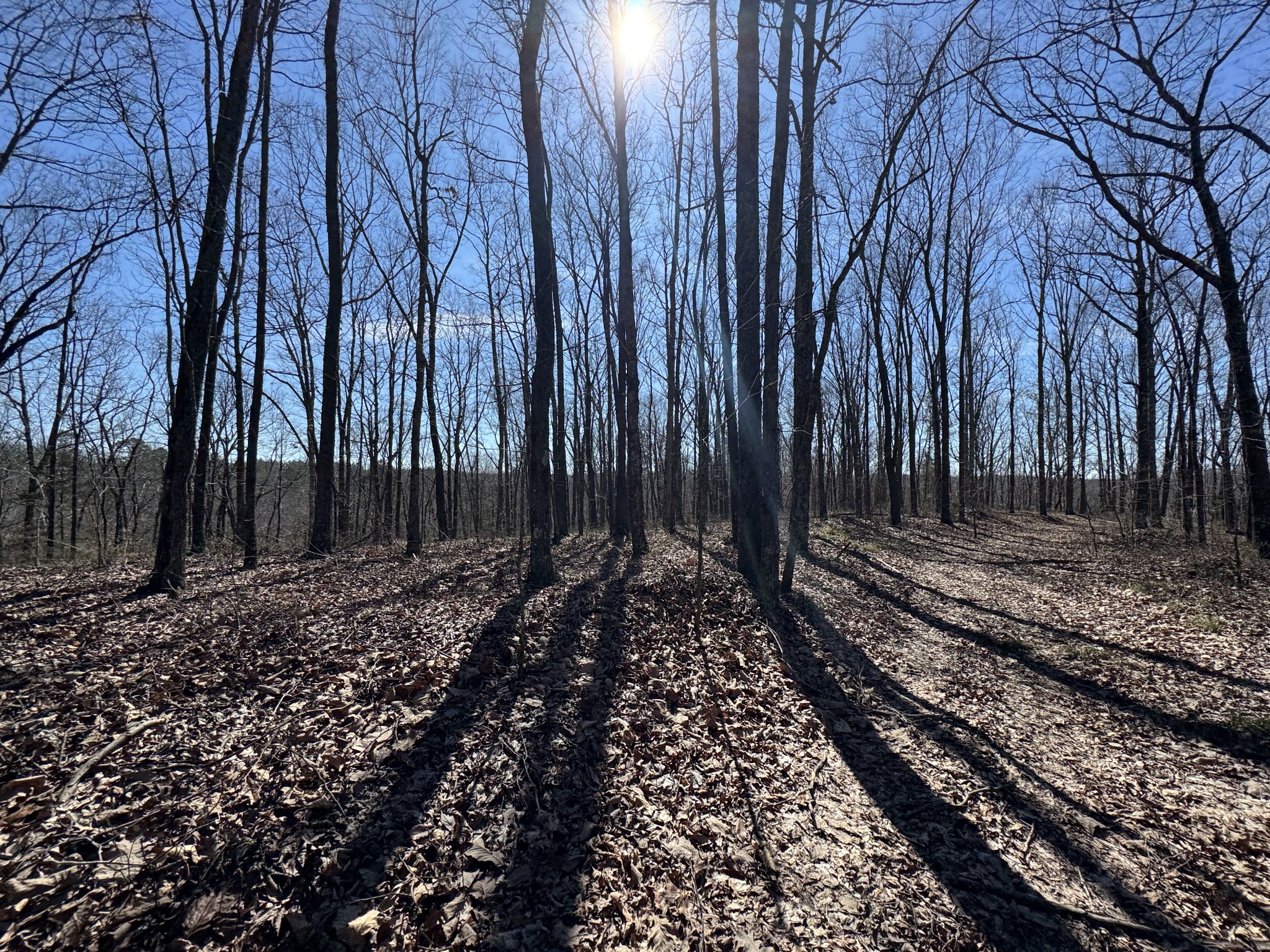 0 Waterfall Creek Road Collinwood, TN 38450 - Photo 37 of 48 a view of a backyard