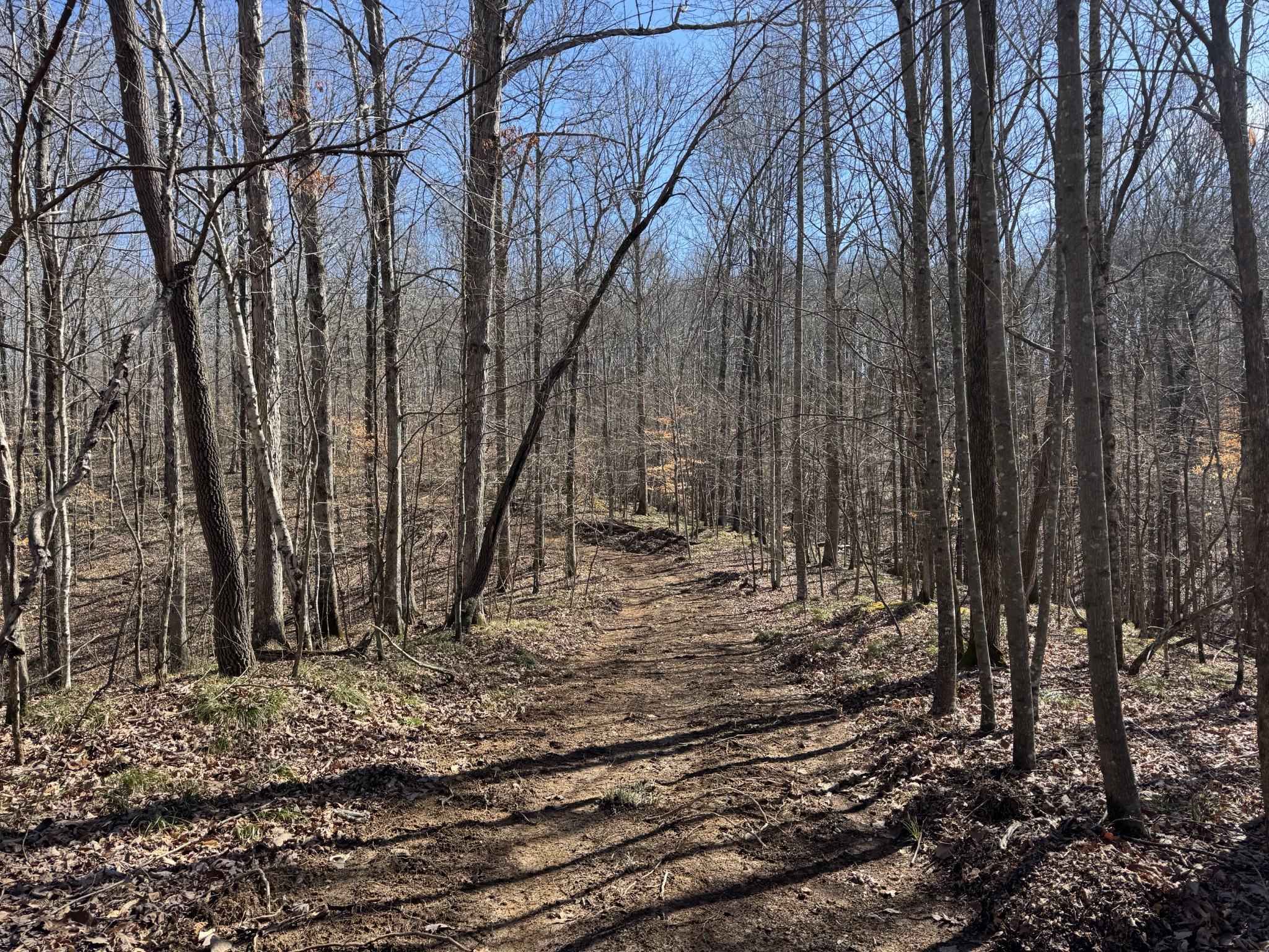 0 Waterfall Creek Road Collinwood, TN 38450 - Photo 40 of 48 a view of a backyard of the house
